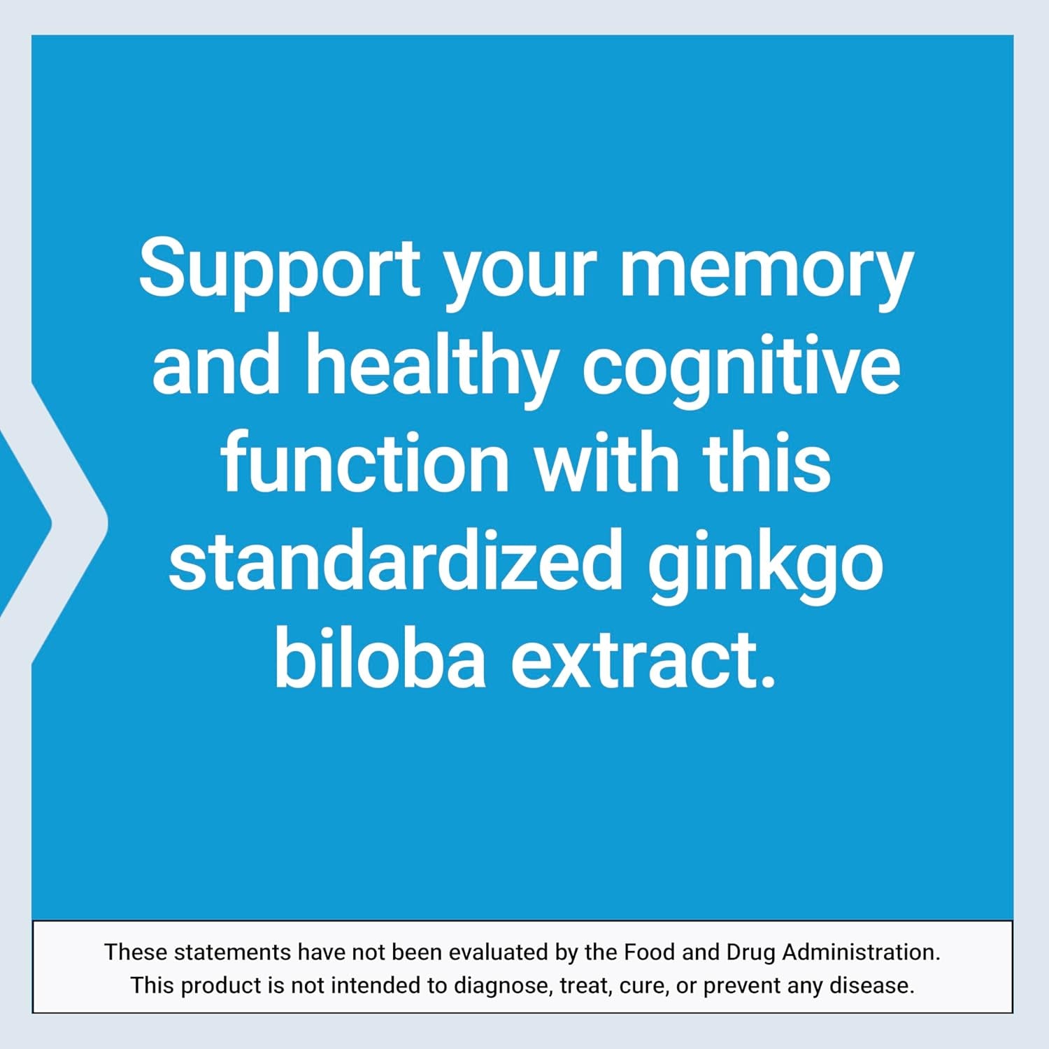 Ginkgo Biloba 120 mg - 365 Capsules